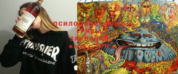 трава Алексеевка