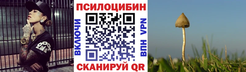 Псилоцибиновые грибы мицелий  Гусиноозёрск 